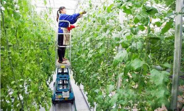 自行升降平臺(tái) 自行升降機(jī)